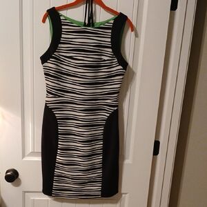 Julia Jordan Zebra Print Black and White Mini Dress